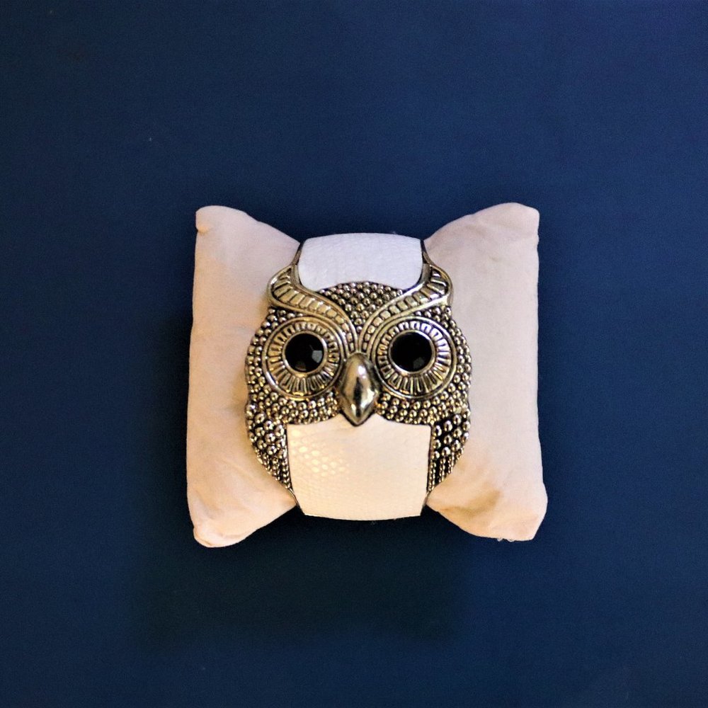 NWOT Owl Bangle Bracelet